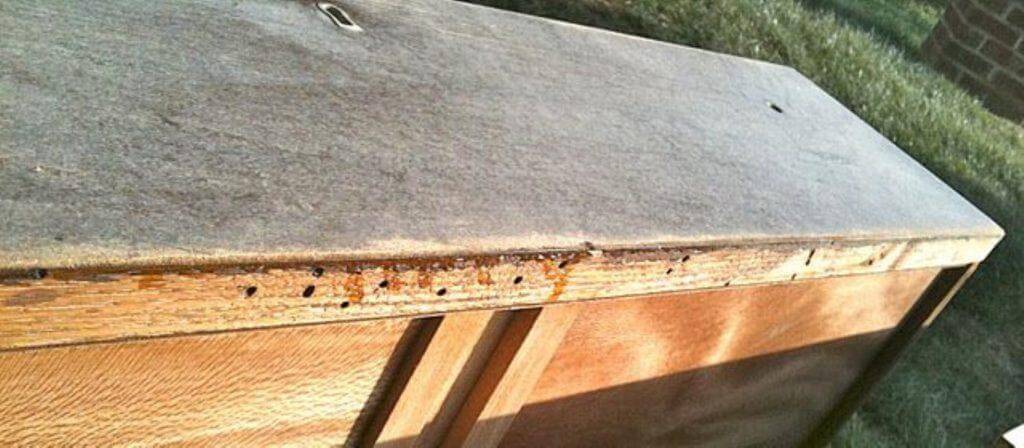 έπιπλο που έχει προσβληθεί από σαράκι